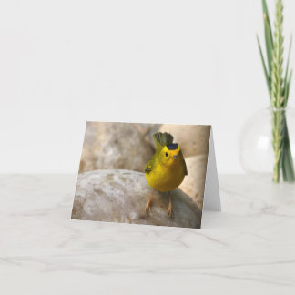 Wilson's Warbler - Joe Sweeney - card