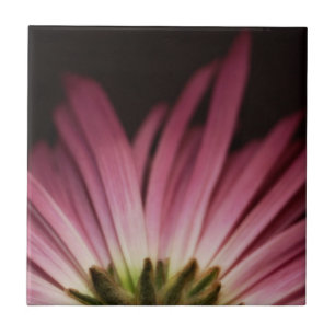 Wilted Purple Daisy Tile