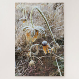 Wilted Rudbeckia Flower Morning Frost Photo Jigsaw Puzzle