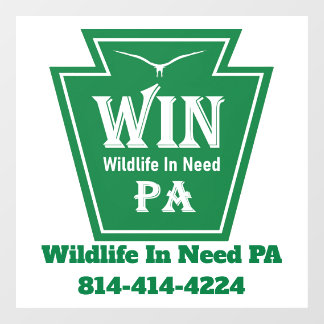 WIN Logo Window Cling-White background Cling