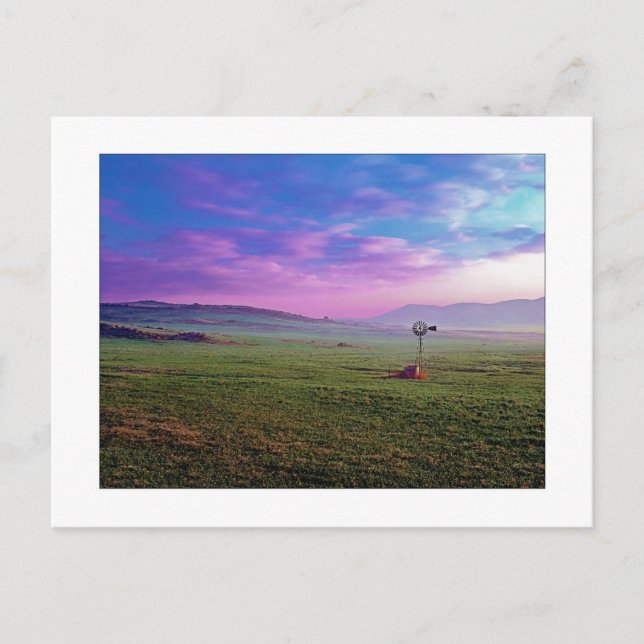 " Winchester Windmill " Postcard (Front)