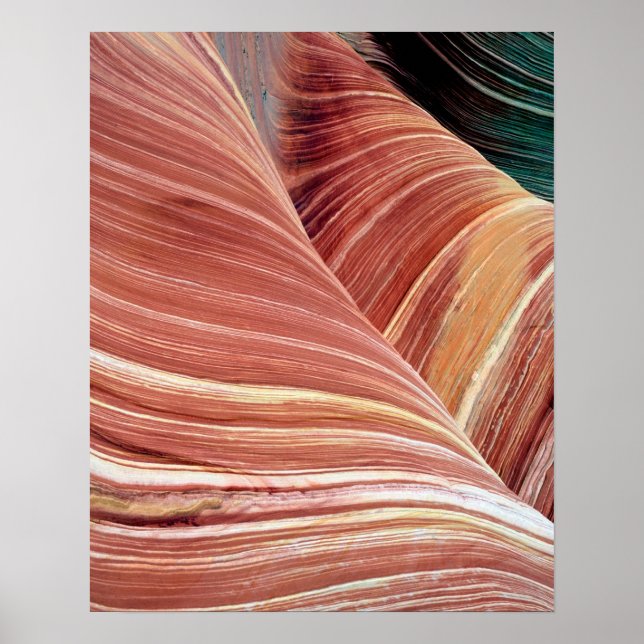 Wind and water eroded Navajo  sandstone in Poster (Front)