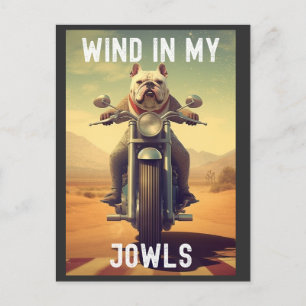Wind in My Jowls : A Bulldog Riding a Motorcycle Postcard