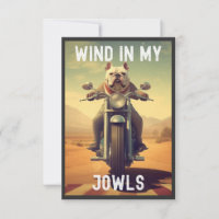 Wind in My Jowls : A Bulldog Riding a Motorcycle