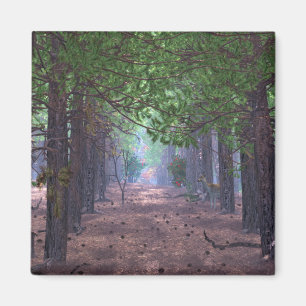 Wind in the Pines Magnet