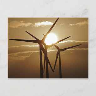 Wind Power Postcard