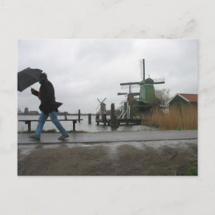 Wind & Rain at Zaanse Schans Windmills Postcard