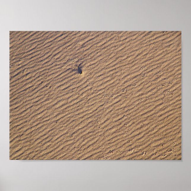 Wind Ripples in Sand VI - Colour Saturated Poster (Front)