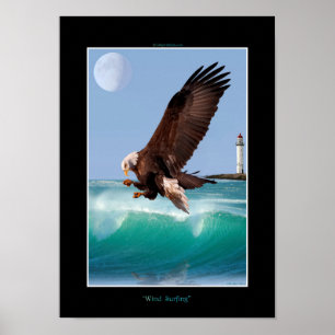 WIND SURFING Bald Eagle  Art Poster