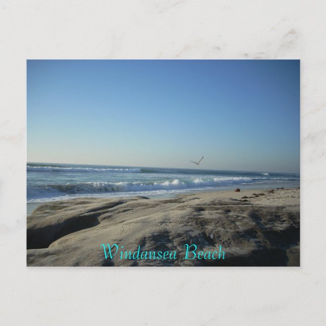 Windansea Beach Postcard (Front)