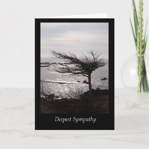 Windblown Tree Deepest Sympathy Card