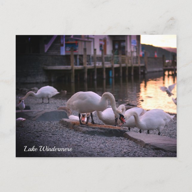 Windermere, the Lake District England Holiday Postcard (Front)