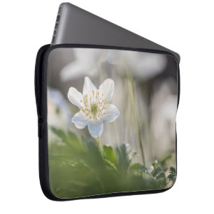 Windflower Nature Photo Laptop Sleeve