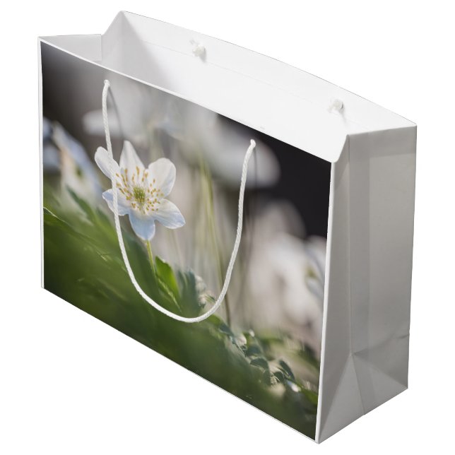 Windflower Nature Photo Large Gift Bag (Back Angled)