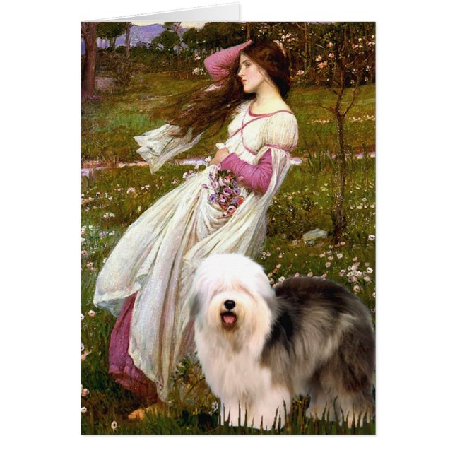 Windflowers - Old English 12 (Front)