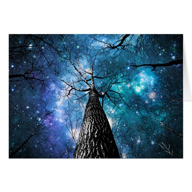 Winding Branches Falling Stars (Front Horizontal)