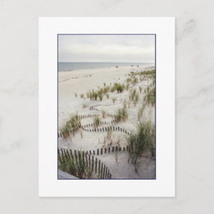 'Winding Fence with Grass Dunes' Postcard