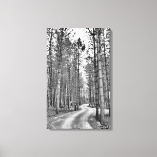 Winding Path Canvas Print