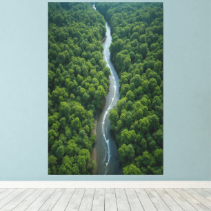 Winding River Through Lush Jungle Canvas Print