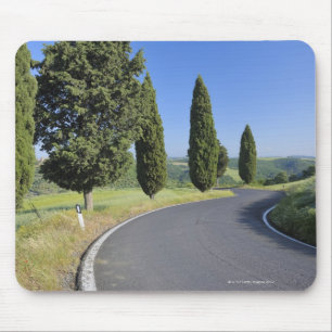 Winding Road Lined with Cypress Trees, Val Mouse Pad