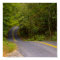 Winding Road