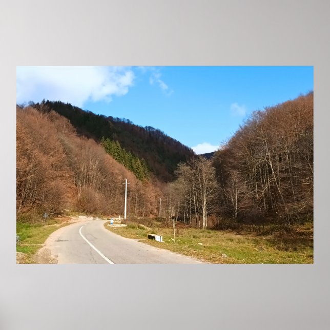 Winding Road Through Forest – Wild Nature Romania Poster (Front)