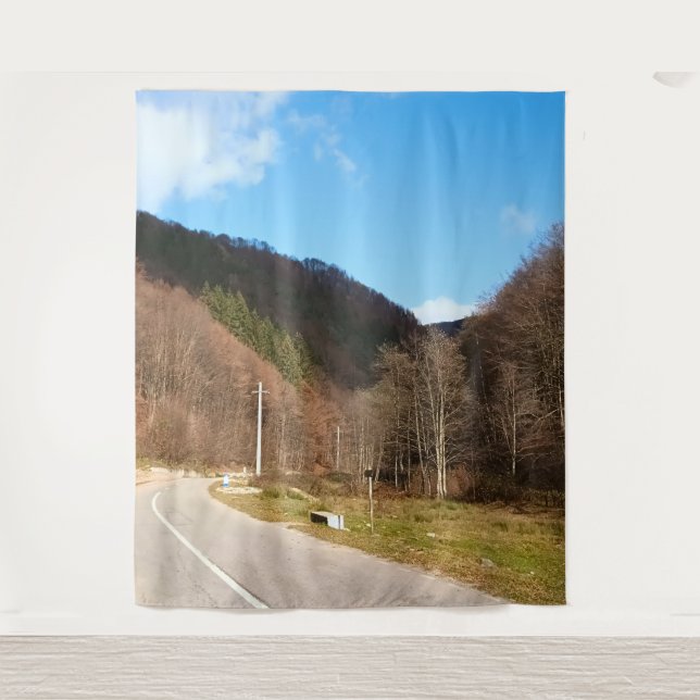 Winding Road Through Forest – Wild Nature Romania Tapestry (Front)
