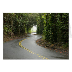 Winding roads through rainforest, Island of