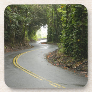 Winding roads through rainforest, Island of Coaster