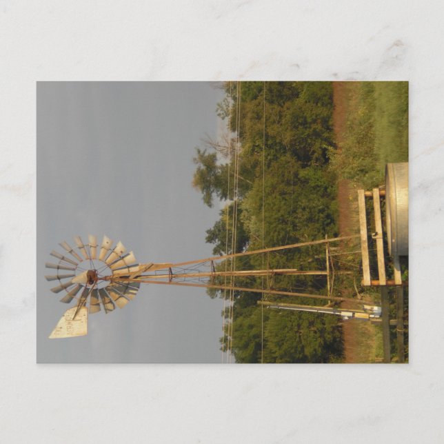 Windmill 3 carte postale (Devant)
