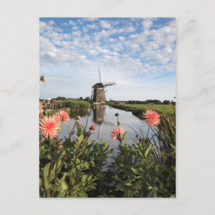 Windmill and flowers in Holland postcard