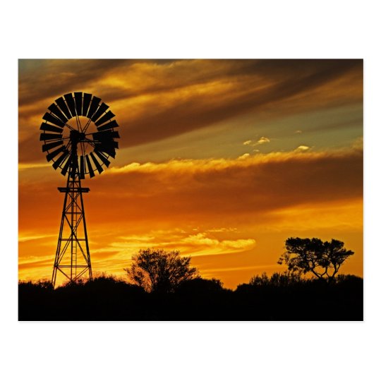 Windmill and Sunset, William Creek, Oodnadatta Postcard