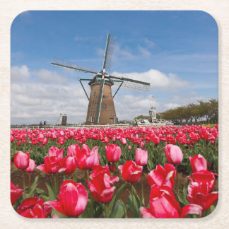 Windmill and Tulips Coaster