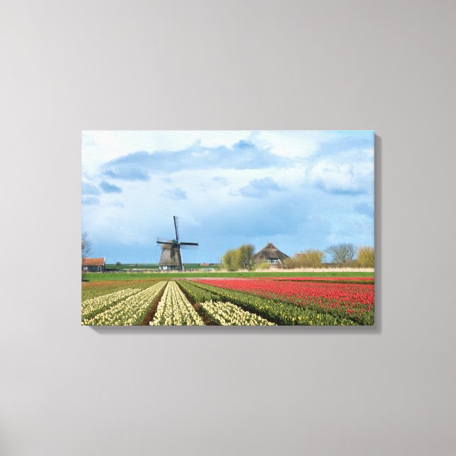 Windmill and tulips landscape canvas print (Front)
