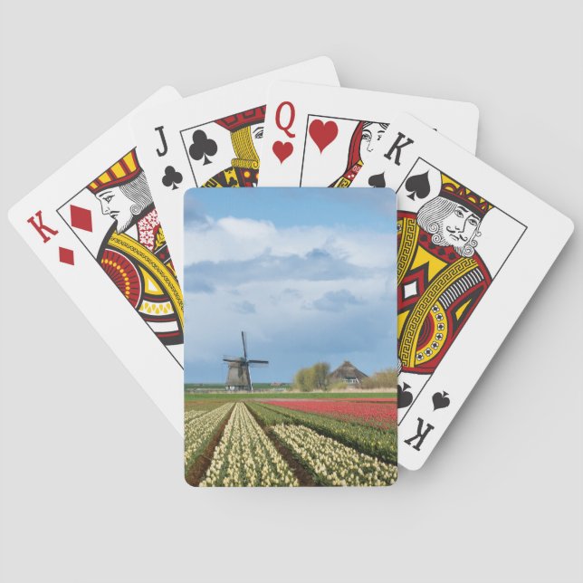 Windmill and tulips landscape poker deck (Back)