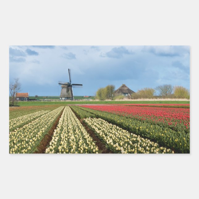 Windmill and tulips landscape rectangular sticker (Front)