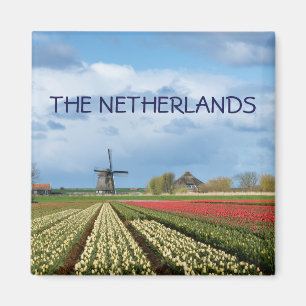Windmill and tulips landscape text magnet