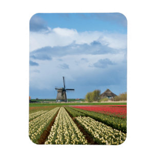 Windmill and tulips landscape vertical magnet