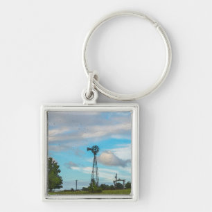 Windmill Bird Flock Keychain