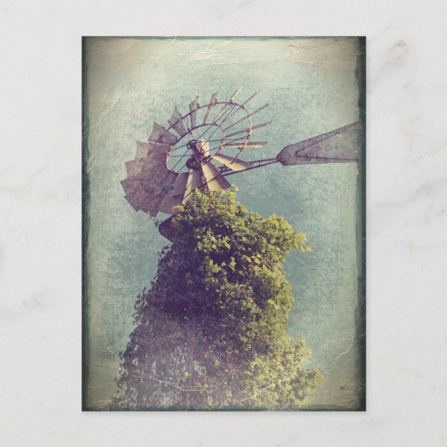 Windmill Grunge Postcard (Front)