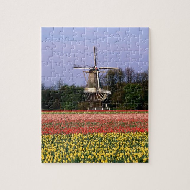 Windmill in the bulb fields jigsaw puzzle (Vertical)