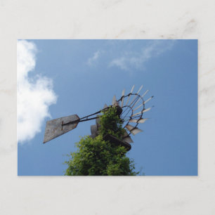 Windmill Postcard