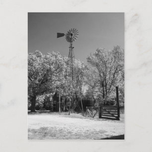 Windmill Postcard