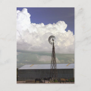 Windmill Postcard