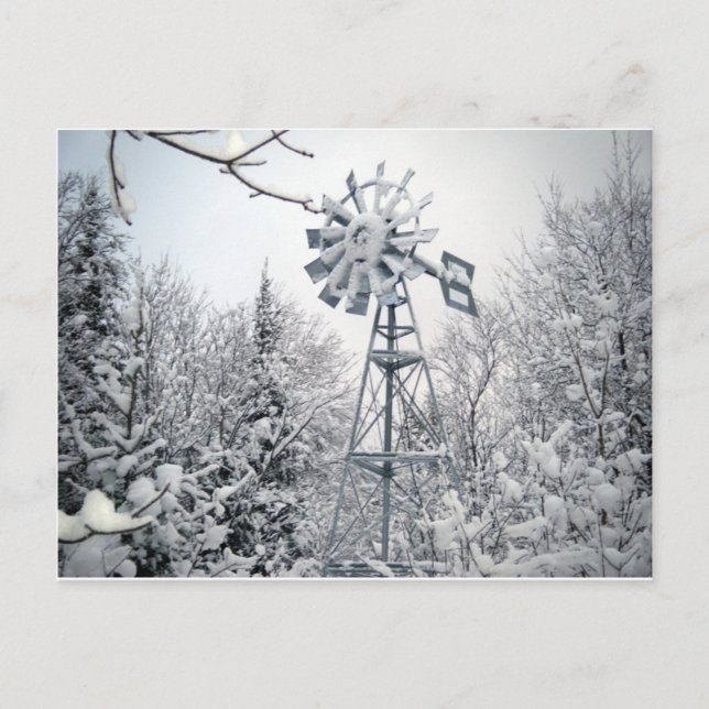 Windmill Winter Tree Scene Postcard (Front)
