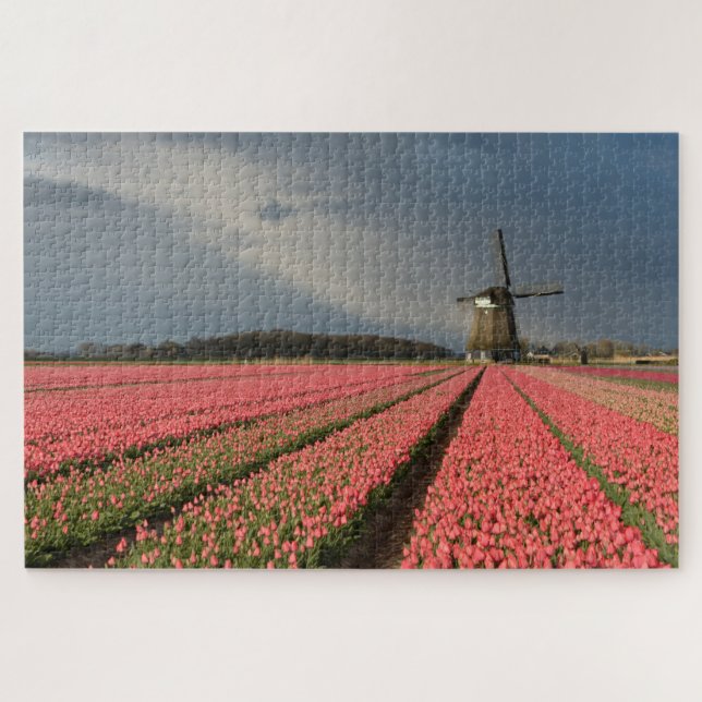 Windmill with pink tulips in spring jigsaw puzzle (Horizontal)