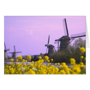 Windmills along the canal in Kinderdijk,