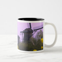 Windmills along the canal in Kinderdijk,