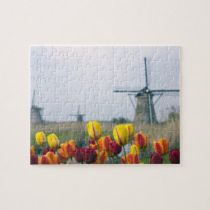 Windmills and tulips along the canal in jigsaw puzzle