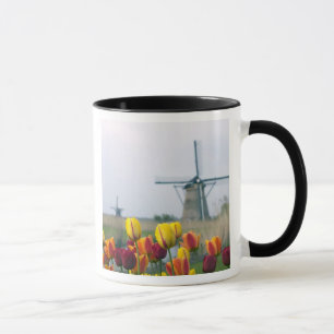 Windmills and tulips along the canal in mug